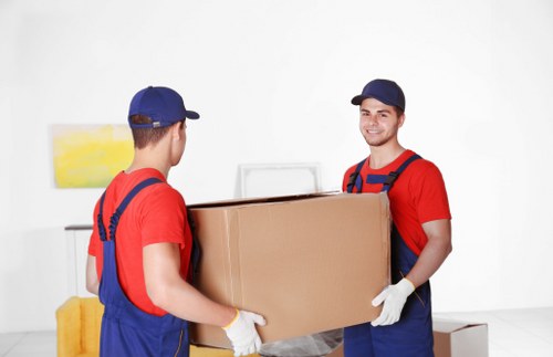 Professional mover handling boxes and furniture in Roehampton